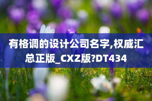 有格调的设计公司名字,权威汇总正版_CXZ版?DT434