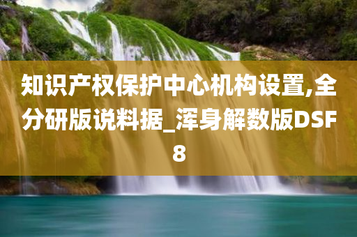 知识产权保护中心机构设置,全分研版说料据_浑身解数版DSF8