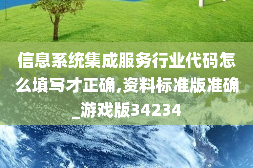 信息系统集成服务行业代码怎么填写才正确,资料标准版准确_游戏版34234