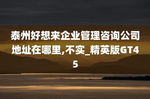 泰州好想来企业管理咨询公司地址在哪里,不实_精英版GT45