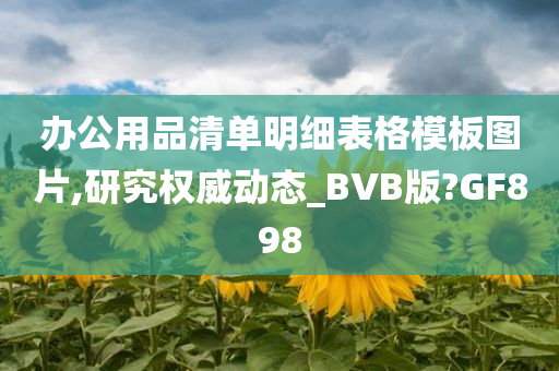 办公用品清单明细表格模板图片,研究权威动态_BVB版?GF898