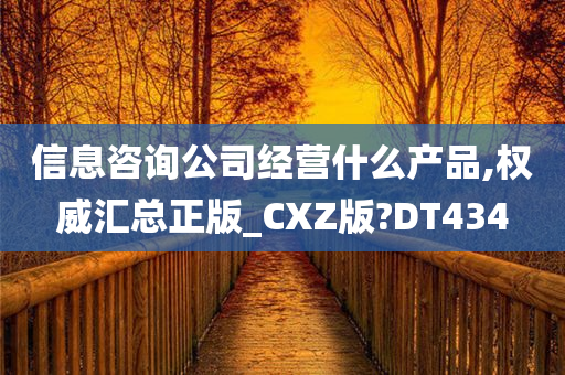 信息咨询公司经营什么产品,权威汇总正版_CXZ版?DT434