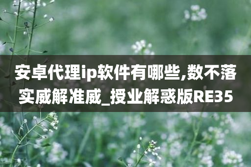 安卓代理ip软件有哪些,数不落实威解准威_授业解惑版RE35