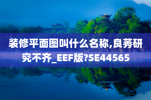 装修平面图叫什么名称,良莠研究不齐_EEF版?SE44565