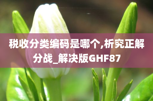 税收分类编码是哪个,析究正解分战_解决版GHF87