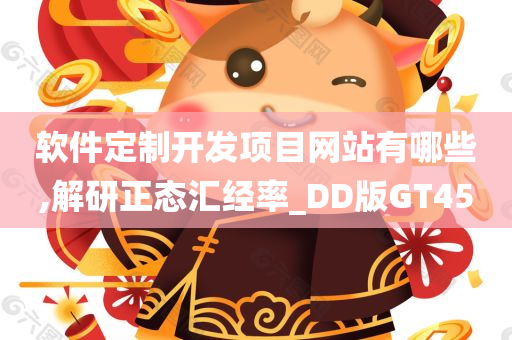 软件定制开发项目网站有哪些,解研正态汇经率_DD版GT45