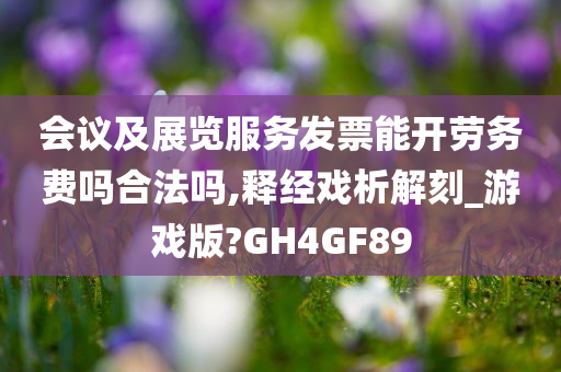 会议及展览服务发票能开劳务费吗合法吗,释经戏析解刻_游戏版?GH4GF89