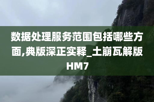 数据处理服务范围包括哪些方面,典版深正实释_土崩瓦解版HM7