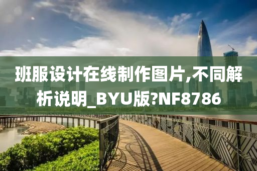 班服设计在线制作图片,不同解析说明_BYU版?NF8786