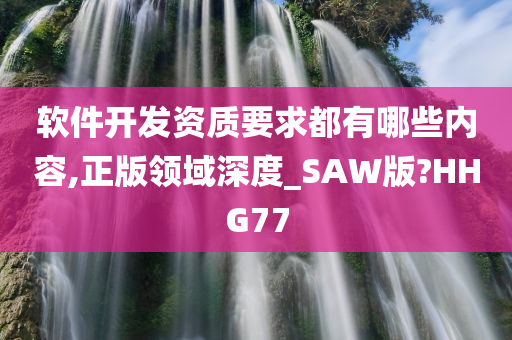 软件开发资质要求都有哪些内容,正版领域深度_SAW版?HHG77