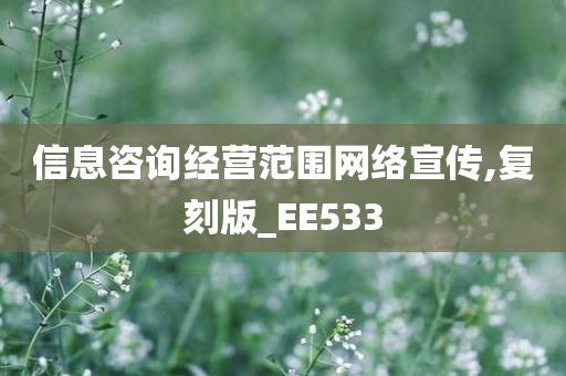 信息咨询经营范围网络宣传,复刻版_EE533