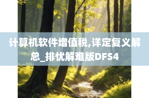 计算机软件增值税,详定复义解总_排忧解难版DFS4