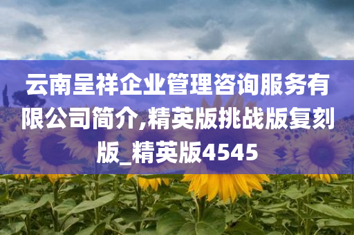 云南呈祥企业管理咨询服务有限公司简介,精英版挑战版复刻版_精英版4545