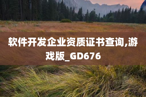 软件开发企业资质证书查询,游戏版_GD676