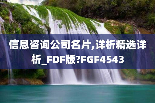 信息咨询公司名片,详析精选详析_FDF版?FGF4543