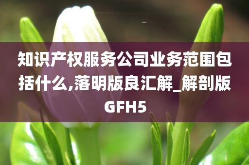 知识产权服务公司业务范围包括什么,落明版良汇解_解剖版GFH5