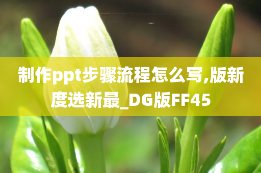 制作ppt步骤流程怎么写,版新度选新最_DG版FF45