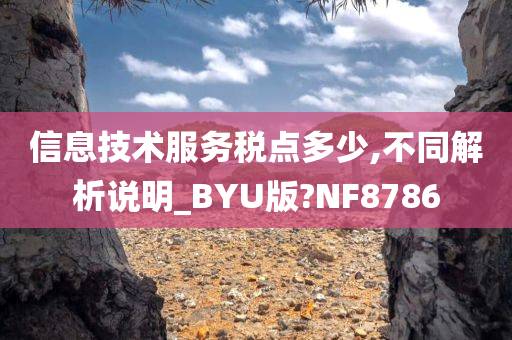 信息技术服务税点多少,不同解析说明_BYU版?NF8786