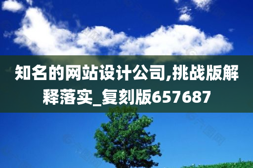 知名的网站设计公司,挑战版解释落实_复刻版657687