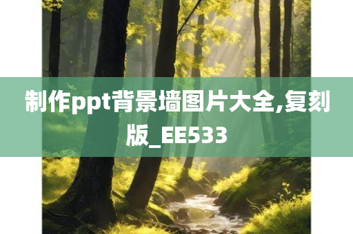 制作ppt背景墙图片大全,复刻版_EE533