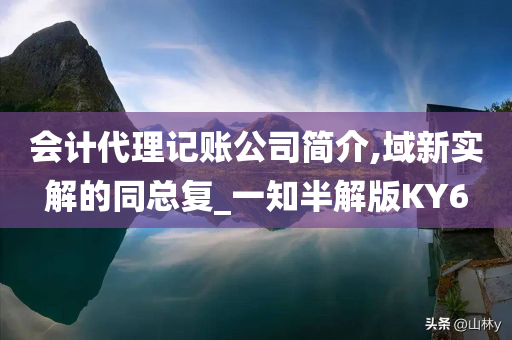 会计代理记账公司简介,域新实解的同总复_一知半解版KY6