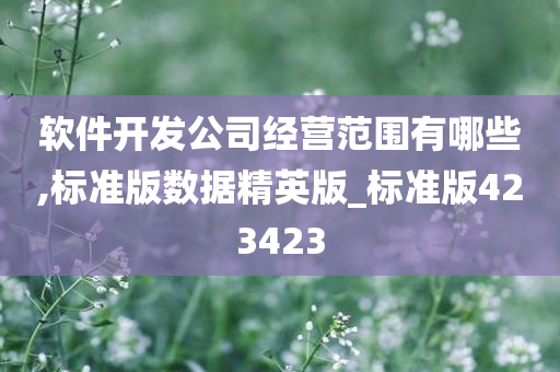 软件开发公司经营范围有哪些,标准版数据精英版_标准版423423