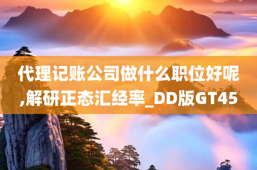 代理记账公司做什么职位好呢,解研正态汇经率_DD版GT45