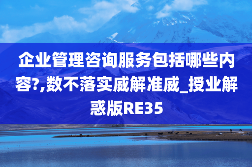 企业管理咨询服务包括哪些内容?,数不落实威解准威_授业解惑版RE35