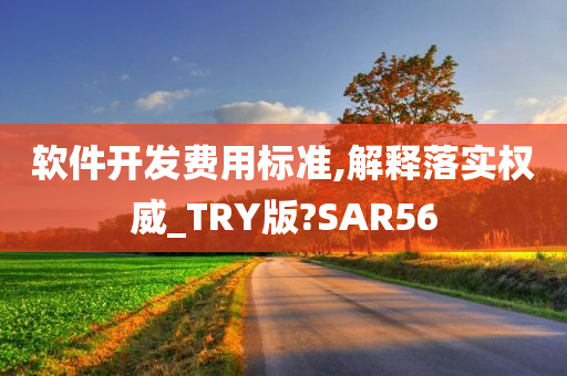 软件开发费用标准,解释落实权威_TRY版?SAR56