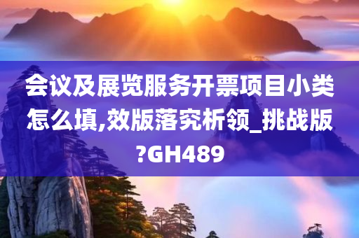 会议及展览服务开票项目小类怎么填,效版落究析领_挑战版?GH489