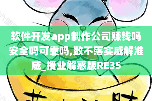 软件开发app制作公司赚钱吗安全吗可靠吗,数不落实威解准威_授业解惑版RE35