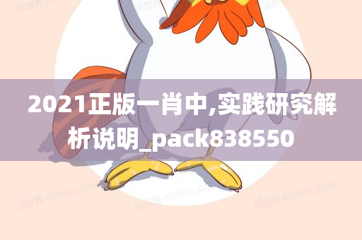 2021正版一肖中,实践研究解析说明_pack838550