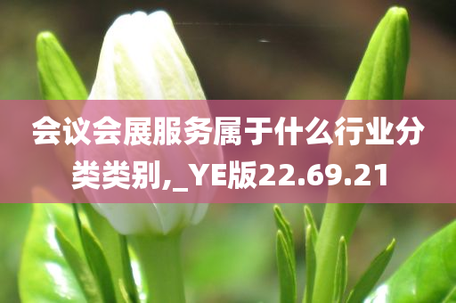 会议会展服务属于什么行业分类类别,_YE版22.69.21