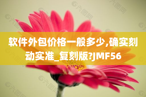 软件外包价格一般多少,确实刻动实准_复刻版?JMF56