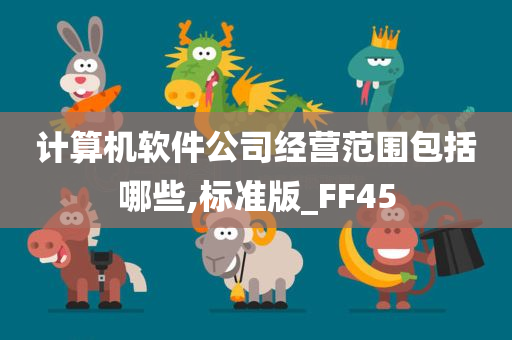 计算机软件公司经营范围包括哪些,标准版_FF45