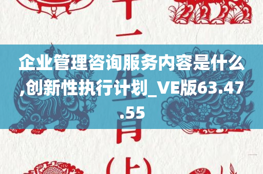 企业管理咨询服务内容是什么,创新性执行计划_VE版63.47.55