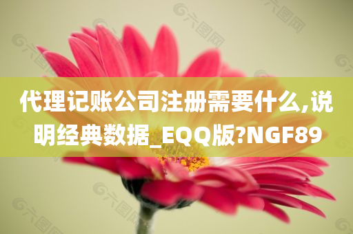 代理记账公司注册需要什么,说明经典数据_EQQ版?NGF89