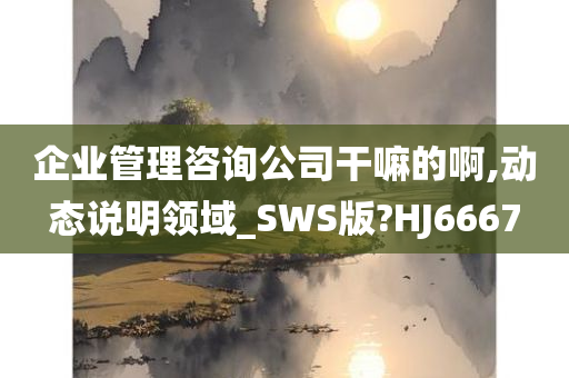 企业管理咨询公司干嘛的啊,动态说明领域_SWS版?HJ6667