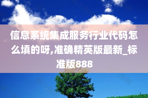 信息系统集成服务行业代码怎么填的呀,准确精英版最新_标准版888