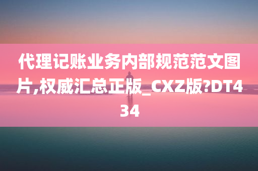 代理记账业务内部规范范文图片,权威汇总正版_CXZ版?DT434