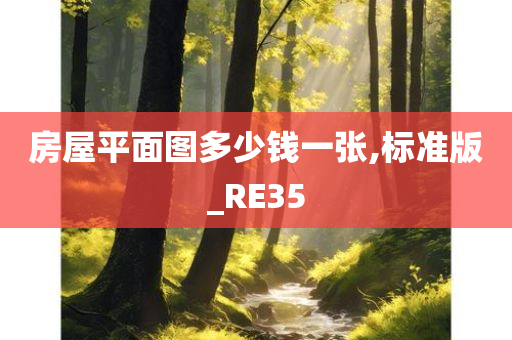 房屋平面图多少钱一张,标准版_RE35