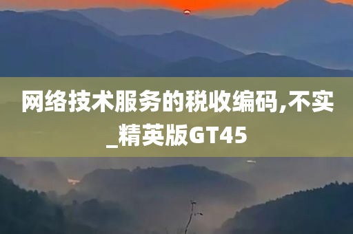 网络技术服务的税收编码,不实_精英版GT45