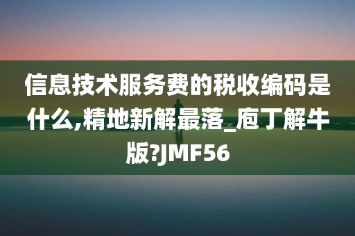 信息技术服务费的税收编码是什么,精地新解最落_庖丁解牛版?JMF56