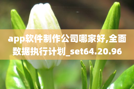 app软件制作公司哪家好,全面数据执行计划_set64.20.96