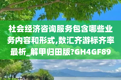 社会经济咨询服务包含哪些业务内容和形式,数汇齐游标齐率最析_解甲归田版?GH4GF89