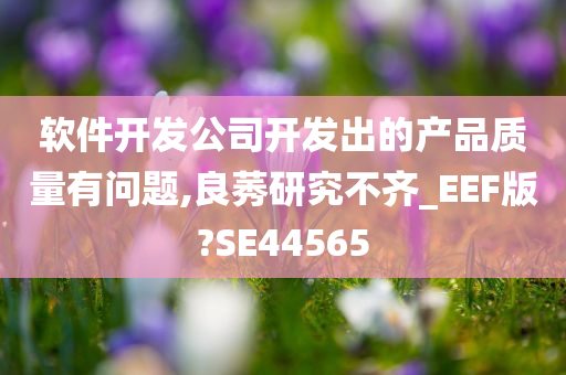 软件开发公司开发出的产品质量有问题,良莠研究不齐_EEF版?SE44565