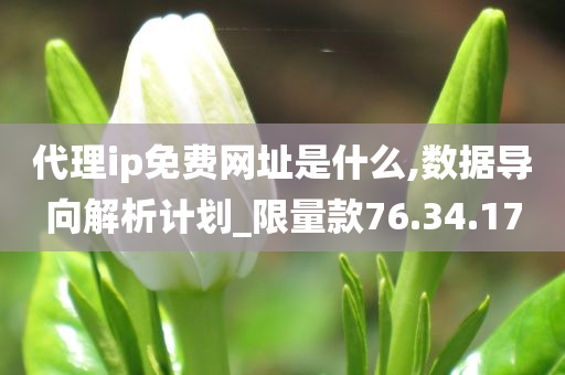 代理ip免费网址是什么,数据导向解析计划_限量款76.34.17