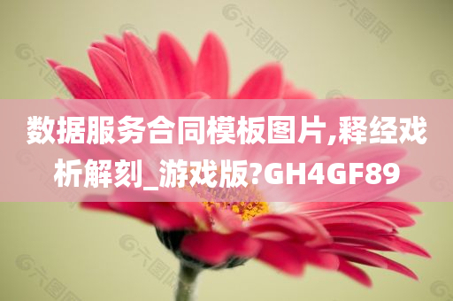 数据服务合同模板图片,释经戏析解刻_游戏版?GH4GF89