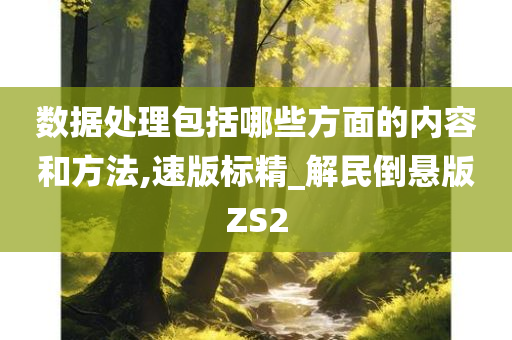 数据处理包括哪些方面的内容和方法,速版标精_解民倒悬版ZS2