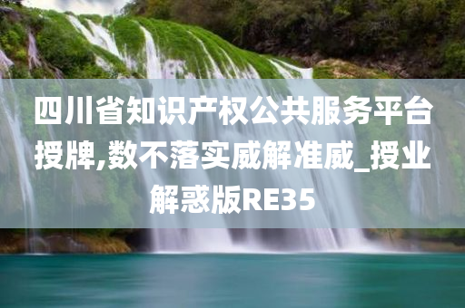 四川省知识产权公共服务平台授牌,数不落实威解准威_授业解惑版RE35